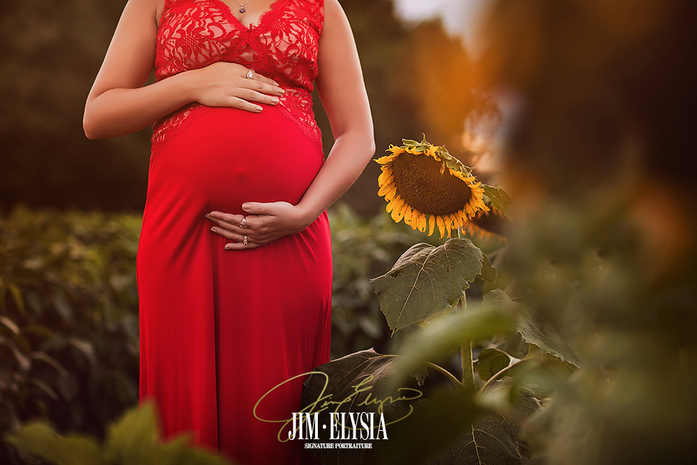 Indianapolis-Maternity-Photographers-00000007 Indiana Maternity Photographers