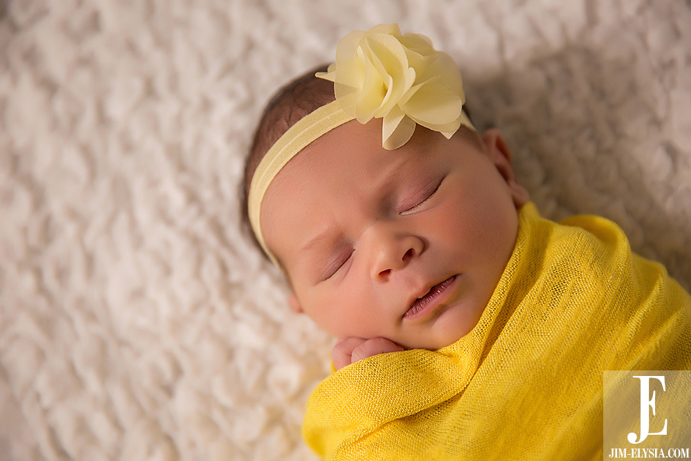 Indianapolis-Family-Photographer-0004 Carmel Newborn Photographers